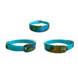 Peacock - Patterned Collar