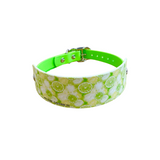 Limes - Patterned Collar