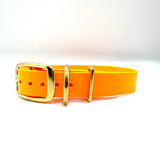 Tangerine - Classic Sleek Collar