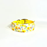 Buttercup - Patterned Collar