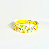 Buttercup - Patterned Collar