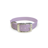 Lilac - Classic Collar