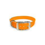 Tangerine - Classic Collar