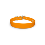 Tangerine - Snappy Collar (Premade)