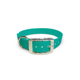 Turquoise - Classic Collar